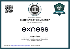 Exness Limited Review Insights and Analysis