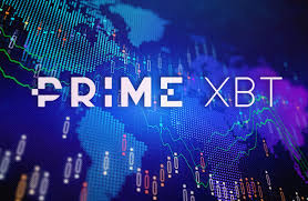 The Power of Trading Explore the PrimeXBT ID Platform The Power of Trading Explore the PrimeXBT ID Platform